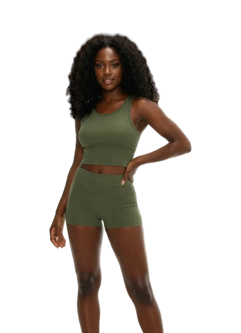 Cheri's Collection Ribbed Shorts — high-waisted wide-waistband ribbed gym shorts for women