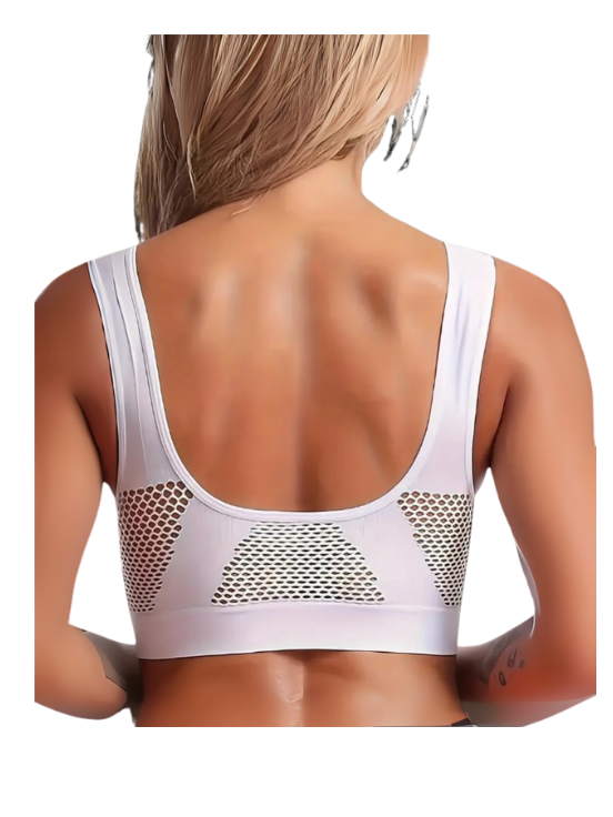 Premium Push up Sports Bra